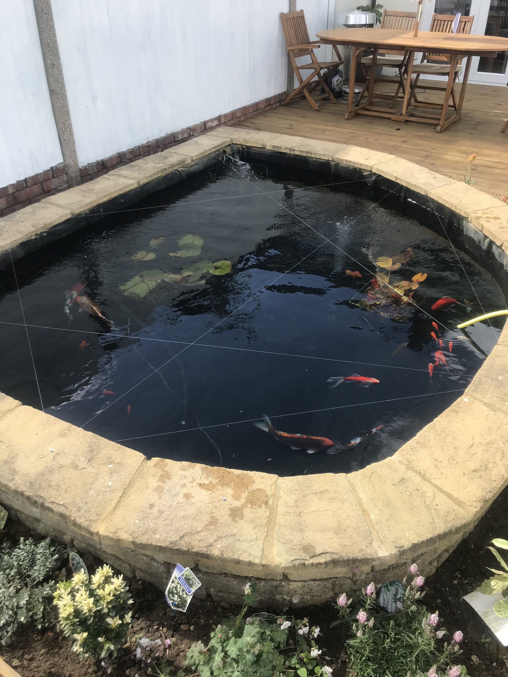 New Pond Liner Install Aqua Evolution